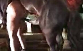 fucking with animals, mare